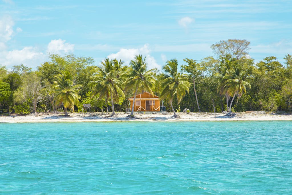 Photo of Wooden Cabin on Beach Near Coconut Trees